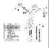 Змішувач для раковини ( старовинна мідь) Ottoman — Зображення 3